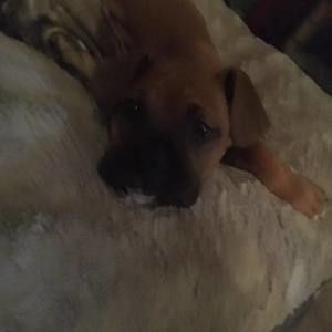 Meet your Posher, Andrew